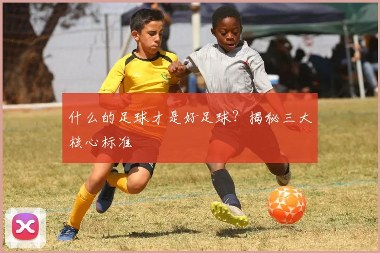 什么的足球才是好足球？揭秘三大核心标准