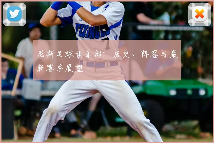 尼斯足球俱乐部:历史、阵容与最新赛季展望