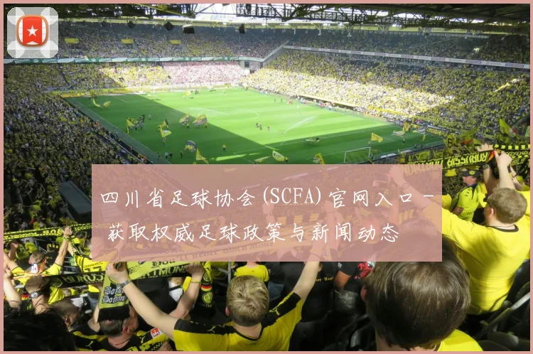 四川省足球协会(SCFA)官网入口 - 获取权威足球政策与新闻动态